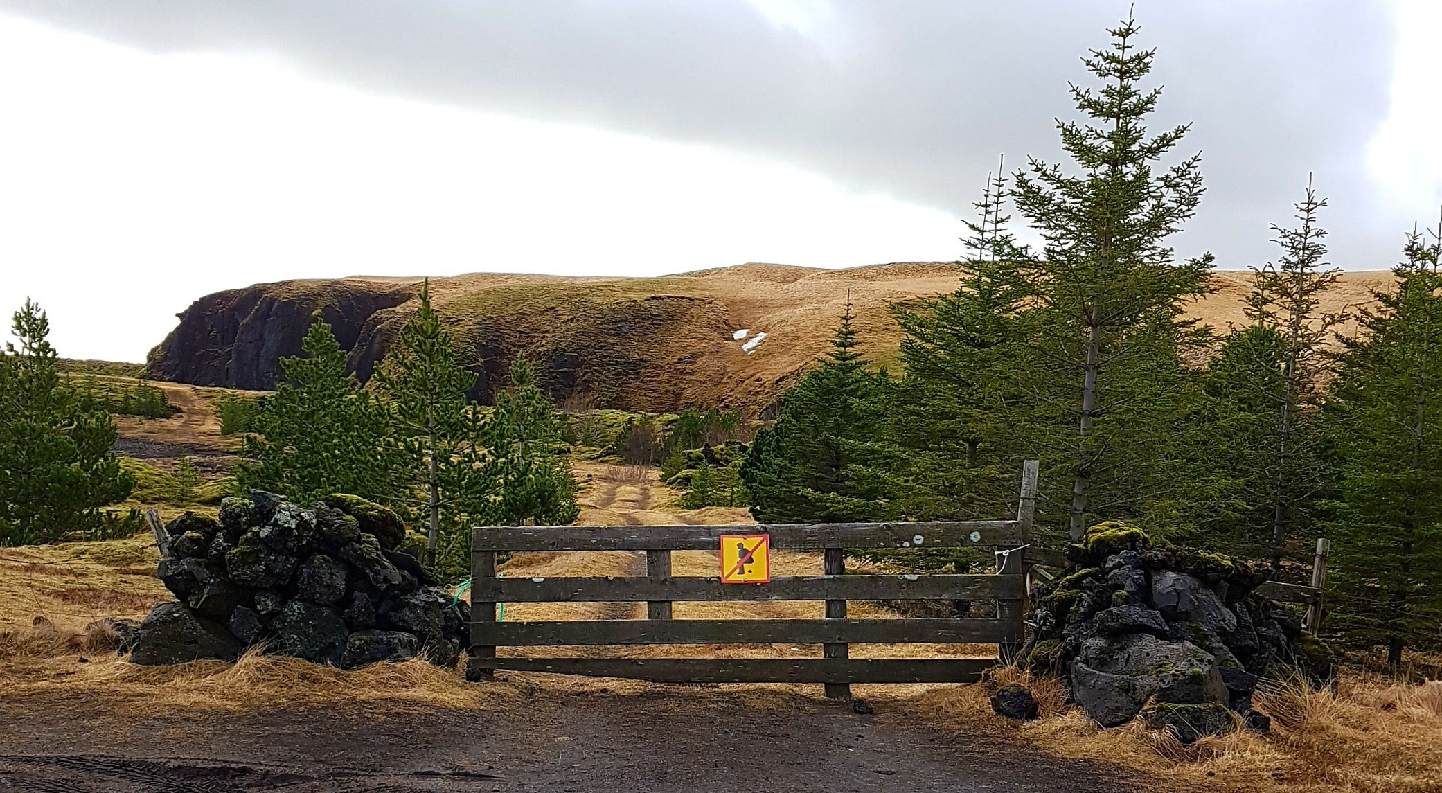 D3C77E8B-BAFB-4150-B4D6-C93EF46DD843