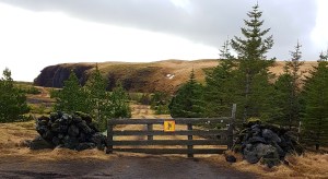 D3C77E8B-BAFB-4150-B4D6-C93EF46DD843