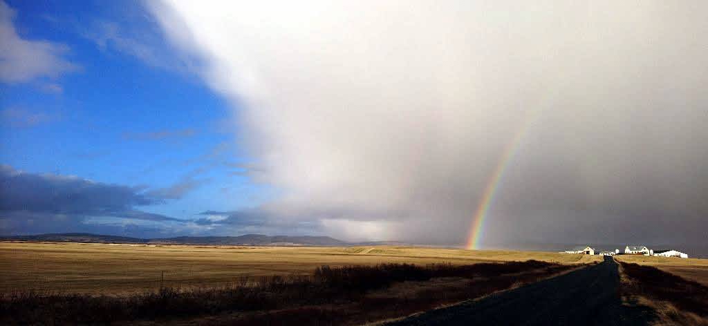 E00953A3-F950-48D5-B969-F192E998FAD6