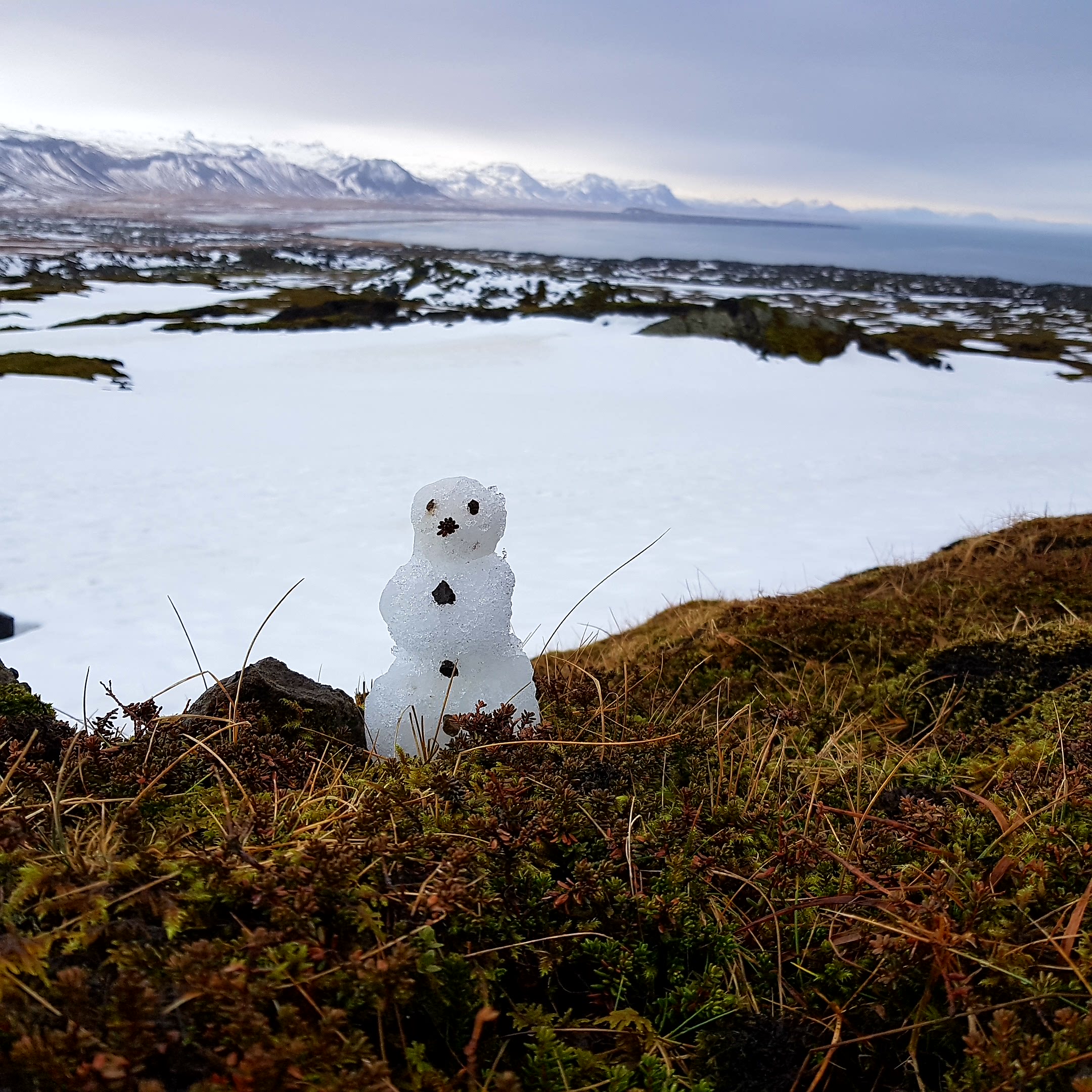 E2BCD785-4FBA-4EA4-BFEC-4E1A13340968