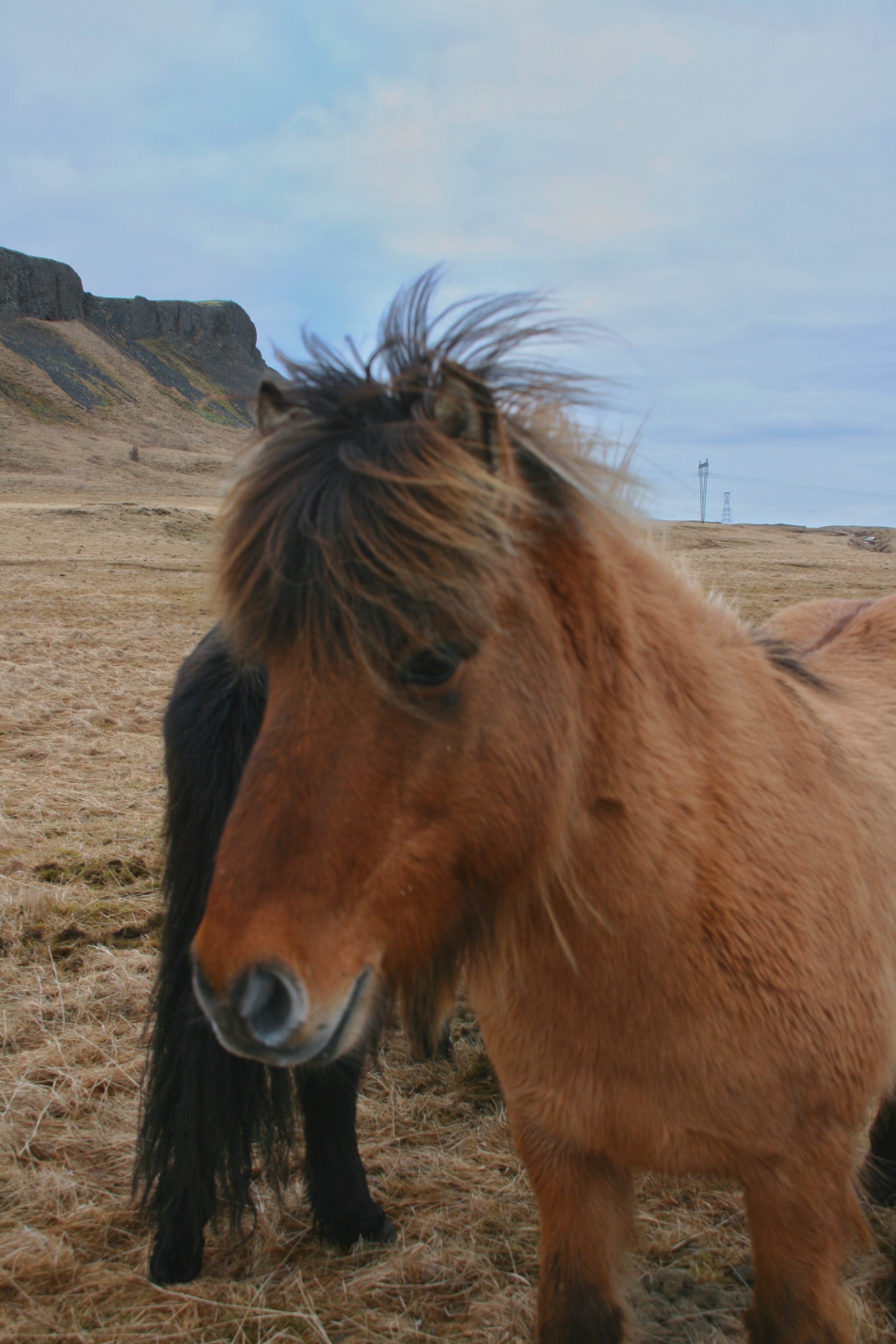 F5AD189B-4913-47C5-B53A-CDFC0DD00CE4