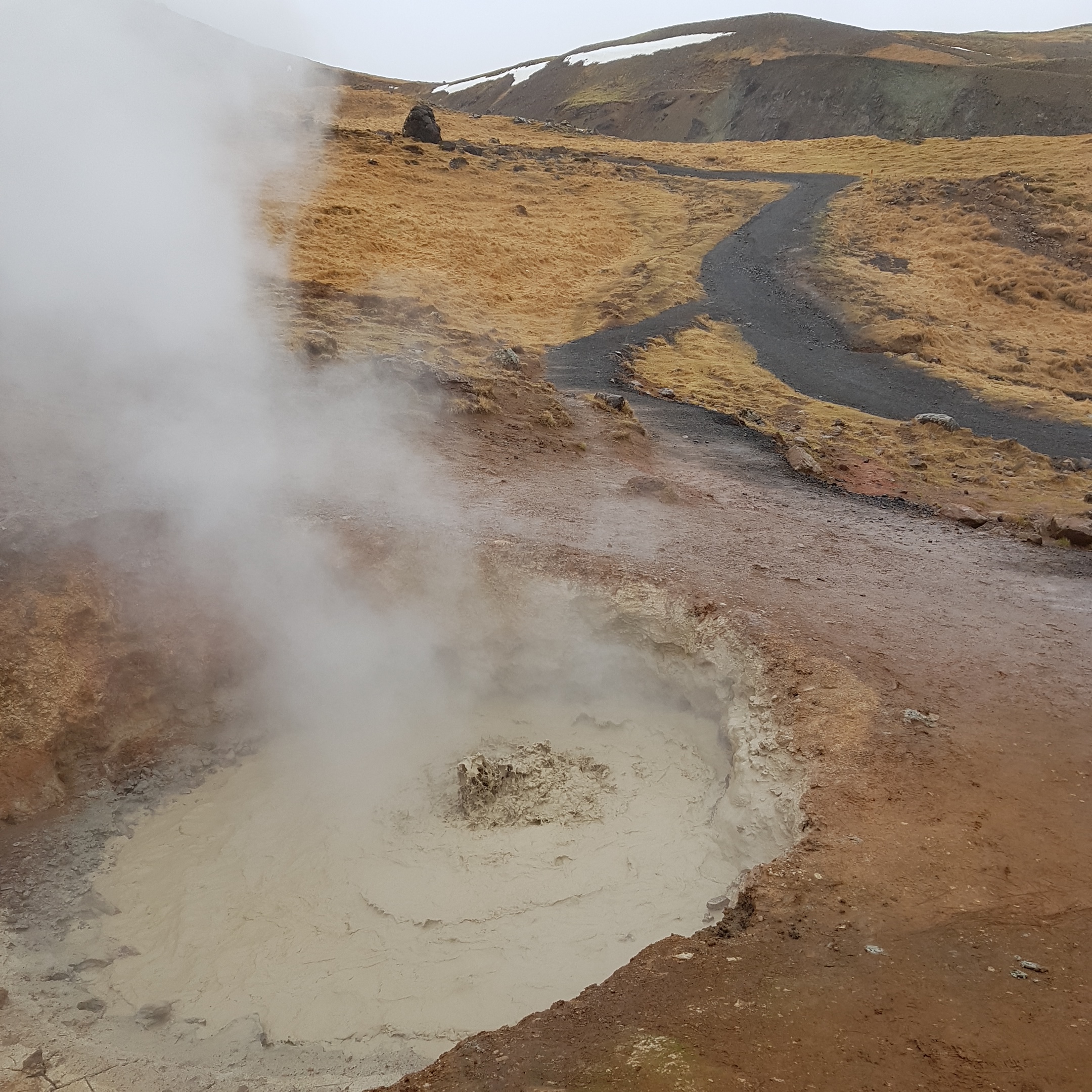 FCF57CE9-9F54-4E06-89A9-2BC4A667F012