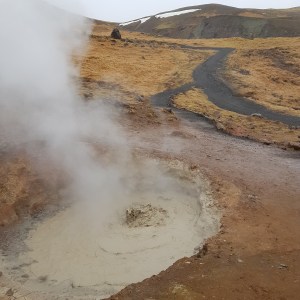 FCF57CE9-9F54-4E06-89A9-2BC4A667F012