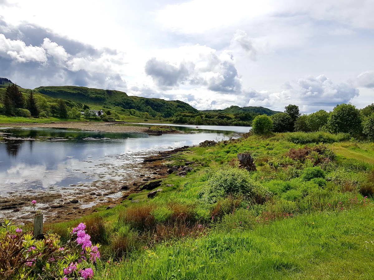 Day 11 Single Road Tag&nbsp;20190527